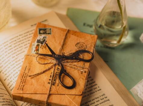 官方托?？荚嚳谡Z(yǔ)評分標準